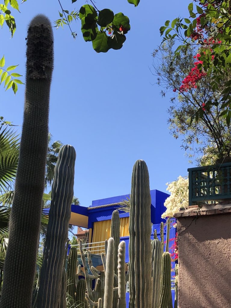 Majorelle garden potsandplanes.com