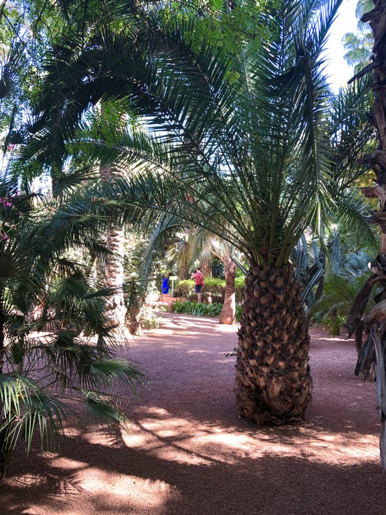 le jardin majorelle marrakesh potsandplanes.com