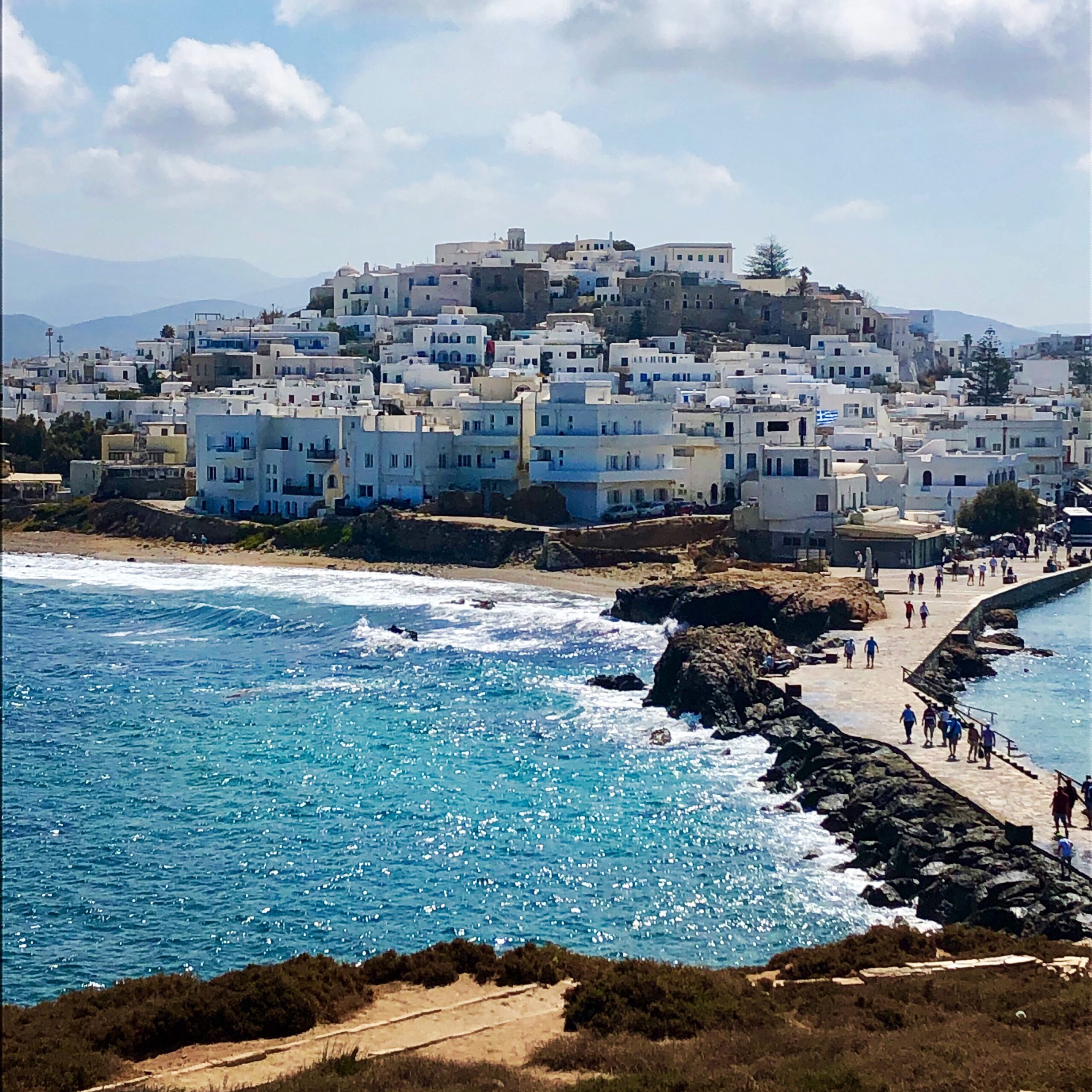 Naxos Town Greece potsandplanes.com