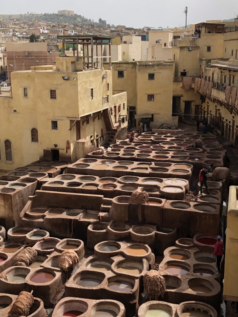 Fez Tannery potsandplanes.com