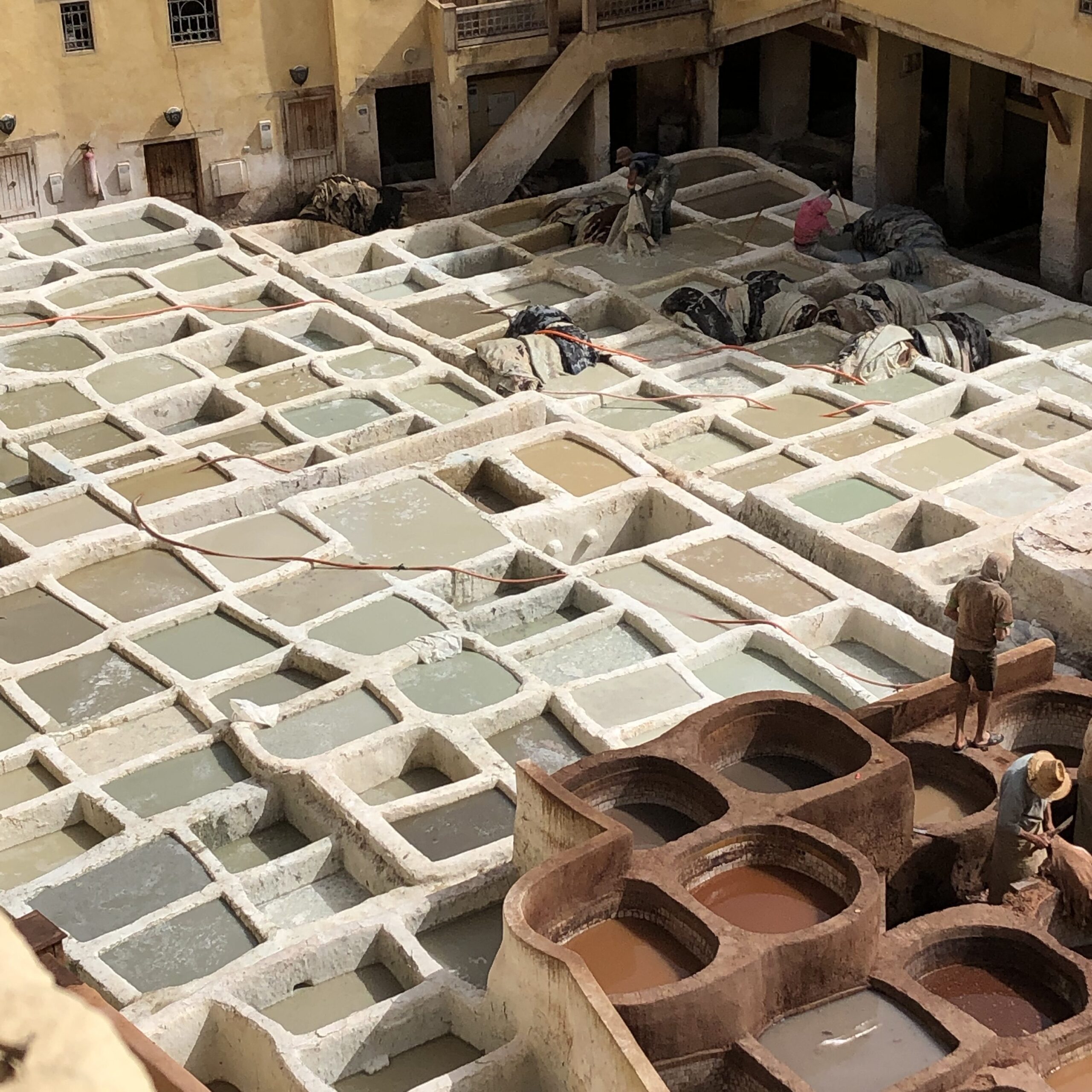 Fez tannery potsandplanes.com