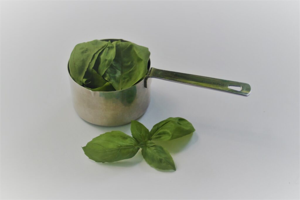 Fresh Basil Oil potsandplanes.com