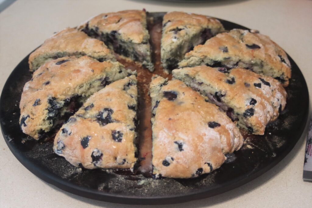 Wild Blueberries + Lemon Scones potsandplanes.com