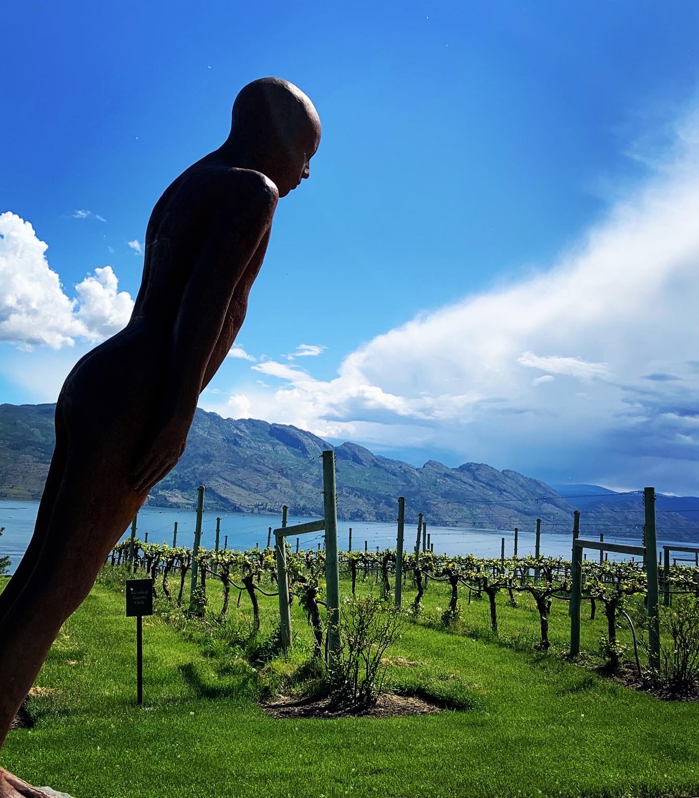 4 West Kelowna Wineries I Loved + a Cider House You Need to Visit