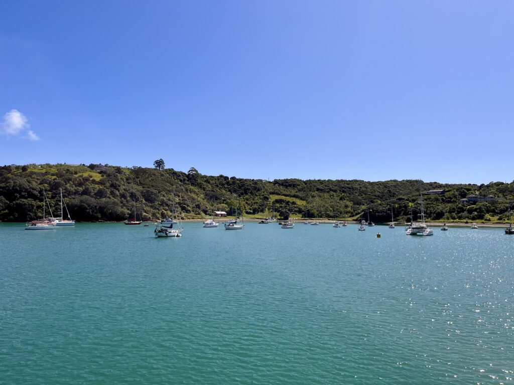 Waiheke Matias harbour potsandplanes.com